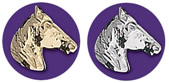 Horse Tooth Gem