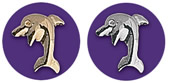 Dolphin Tooth Gem